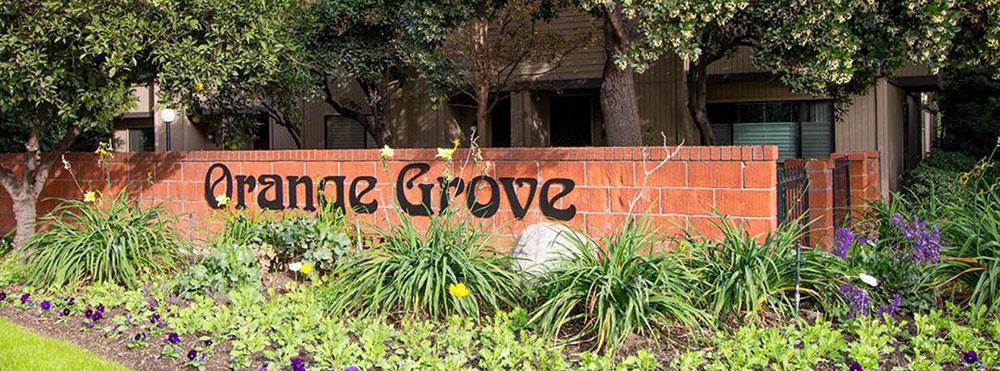 Image 1 for Orange Grove Villas